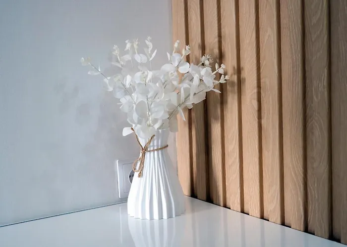 Daire Luz Atlantica, Centro De